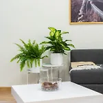 Apartment Spacious 3br By Bus Station Nivy Mall With Ac *