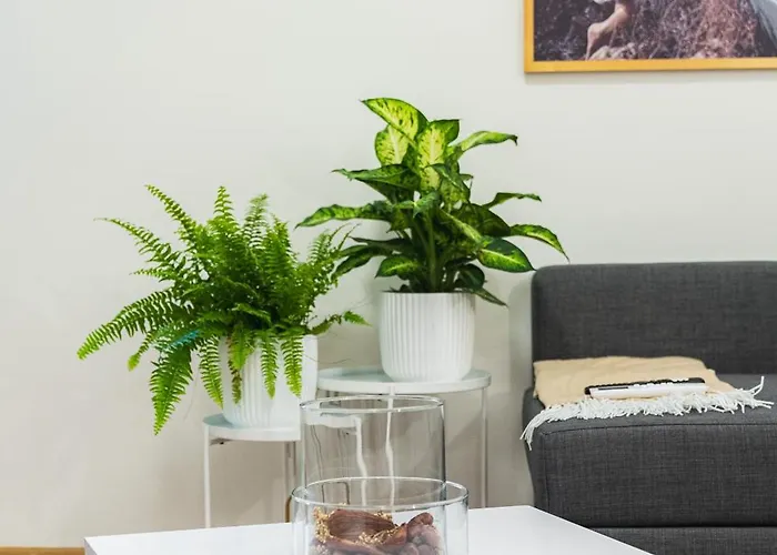 Lejlighed 3br Family Close To Bus Station With Ac *